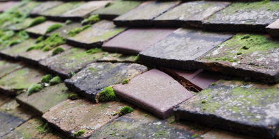 Wallingford roof repair costs